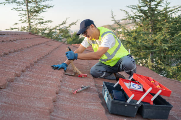 Best Rubber Roofing (EPDM, TPO)  in Ridgefield Park, NJ